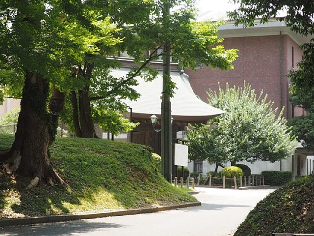 薬医門