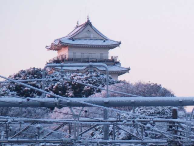 雪の小田原城