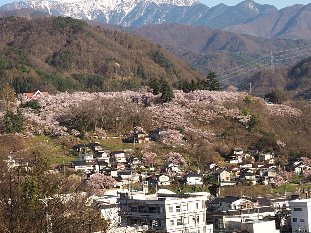 高遠城址