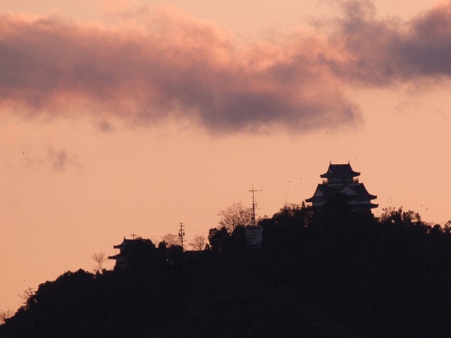 岐阜城夕景