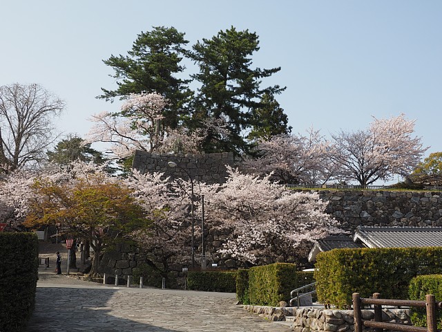 松阪城