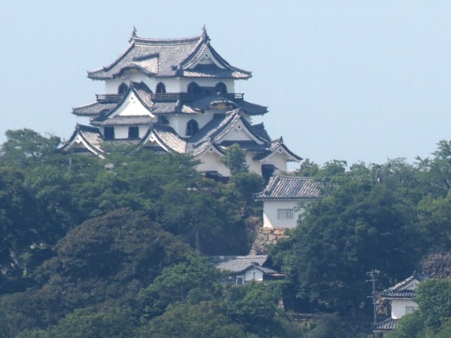 雨壺山より彦根城