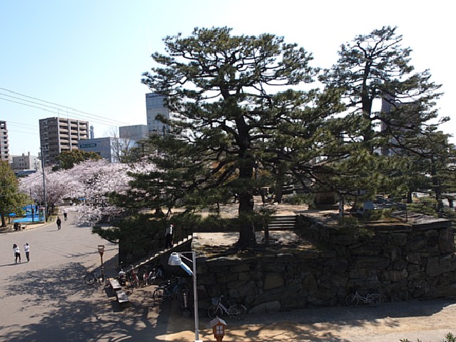 徳島中央公園