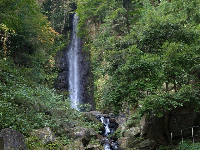 養老の滝