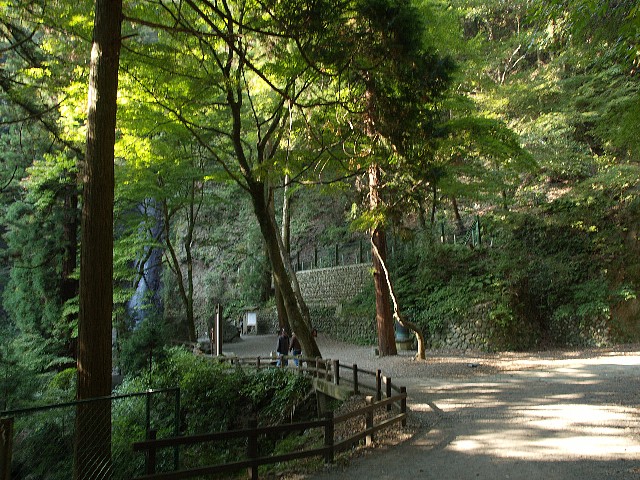 養老公園