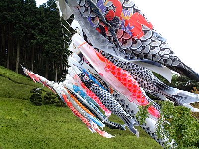 静岡県・伊豆姫の沢公園の鯉幟