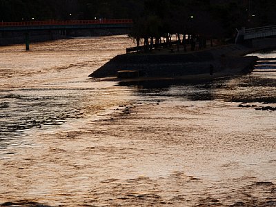 京都府・宇治川の中ノ島