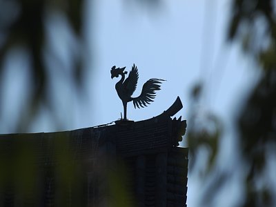 京都府・平等院の鳳凰