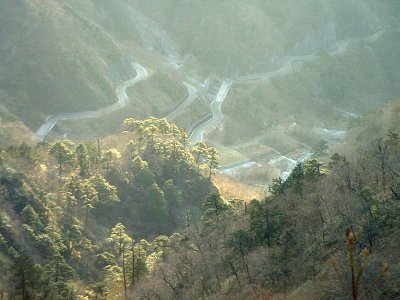 神奈川県・西丹沢犬越林道