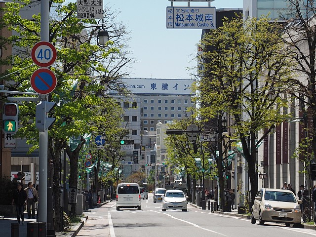 シナノキ