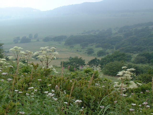 霧ヶ峰