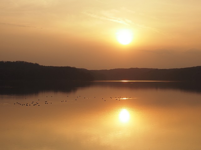 狭山湖夕景