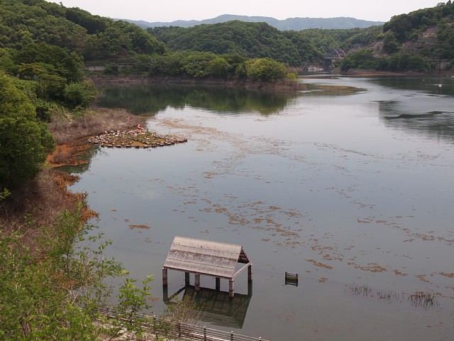 知明湖
