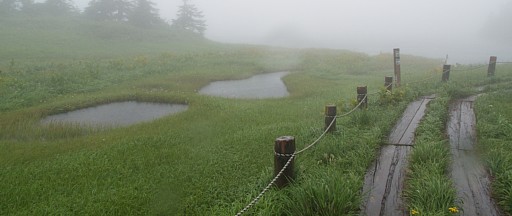 八幡平自然探勝路