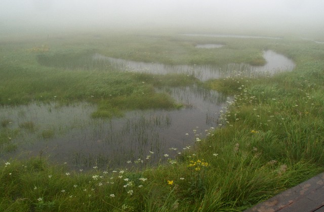 八幡沼の周辺の池塘