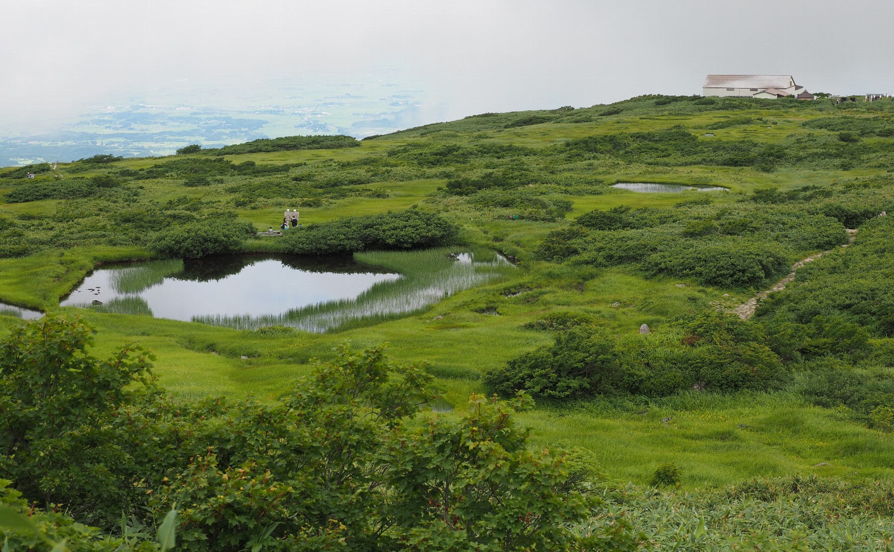 阿弥ヶ原