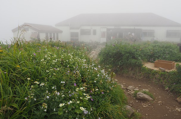 佛生池小屋