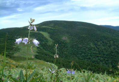 西大巓から西吾妻山