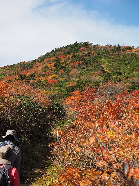 登山道