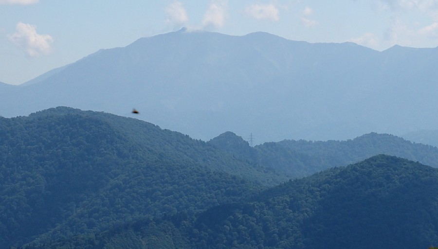 至仏山