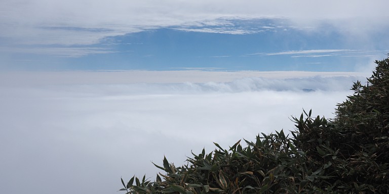 雲海