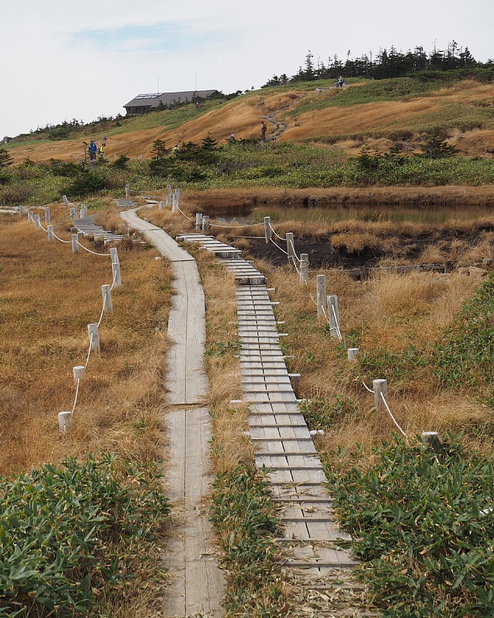 苗場山山頂部