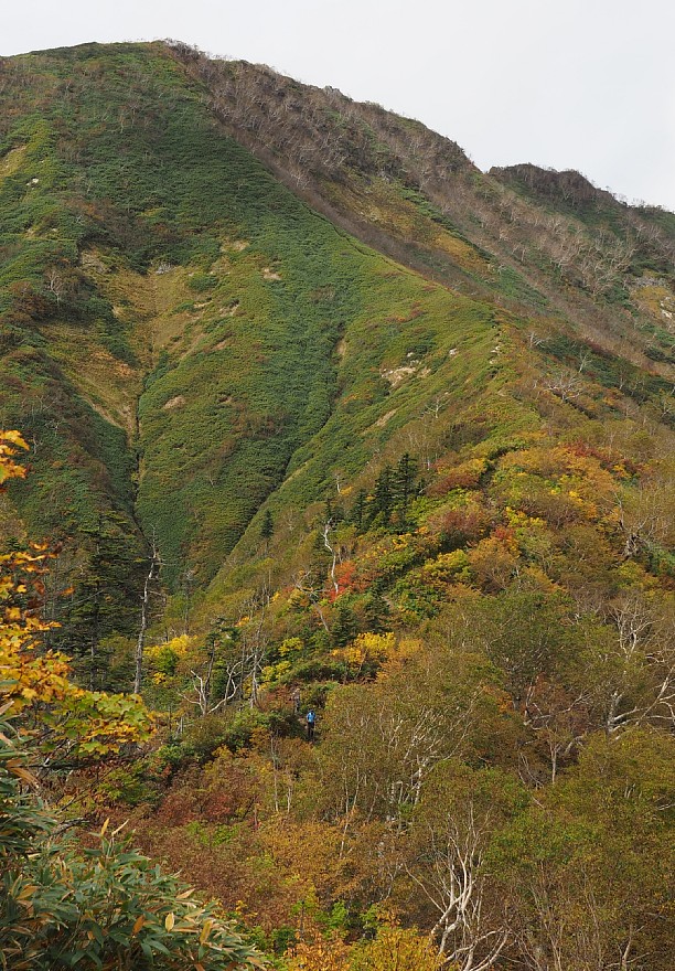 高妻山斜面