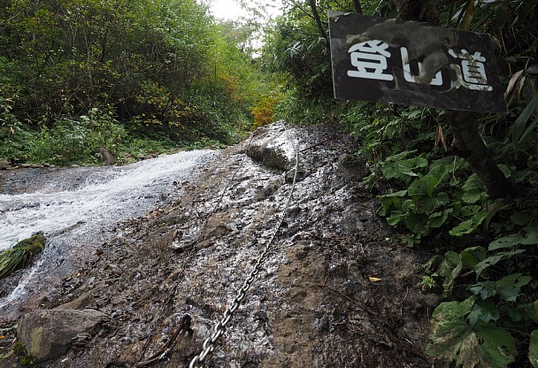 大洞沢登山道