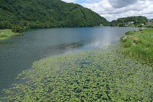中綱湖