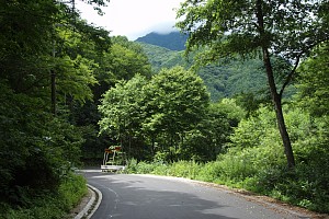 黒沢の道