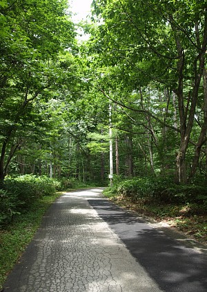 県道325号