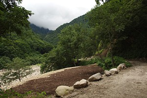 大冷沢