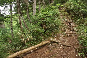 第一ベンチ