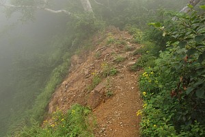 痩せ尾根