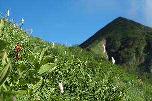 布引山