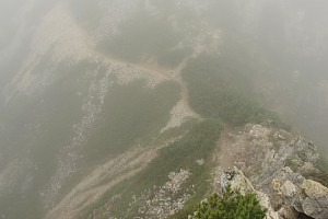 縦走路