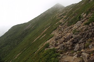 北尾根ノ頭斜面
