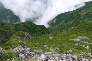 白馬高山植物帯