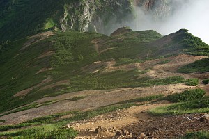 表土