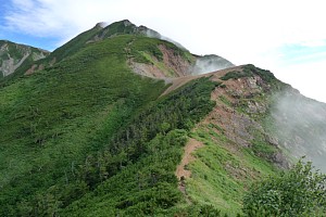 ハイマツ地帯