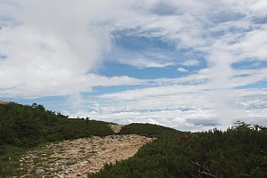 東の空