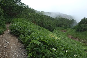 雪渓痕