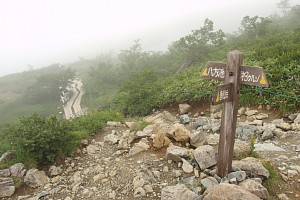 八方池周遊路の分岐