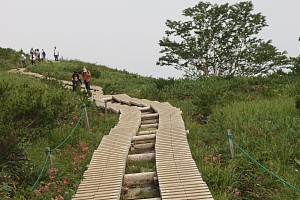 木道