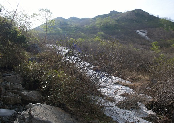 登山道