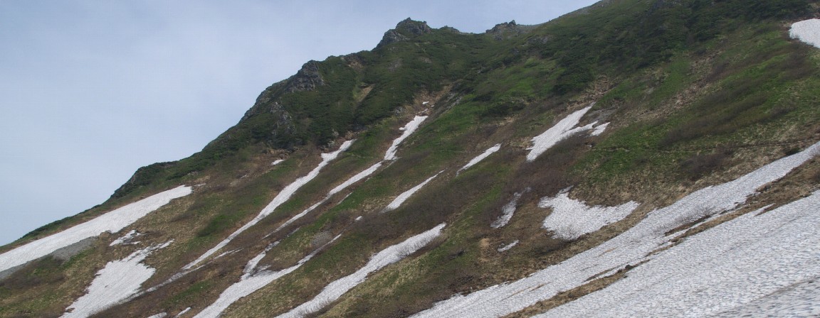 登山道