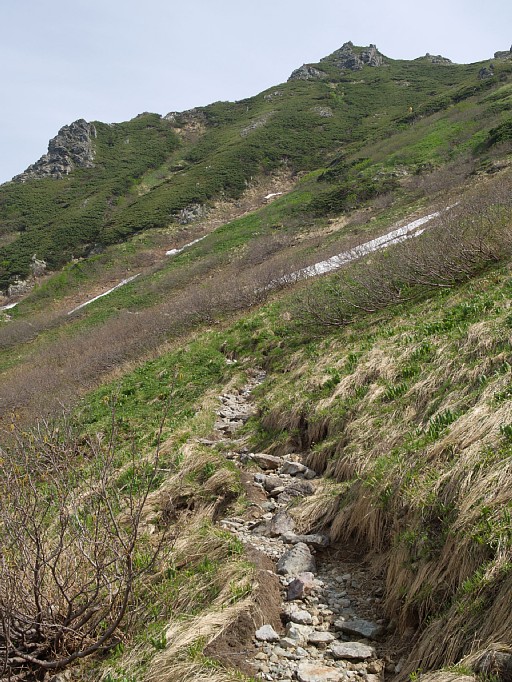 千丈沢乗越登山道
