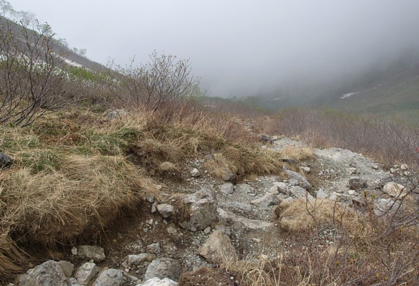 露出した登山道