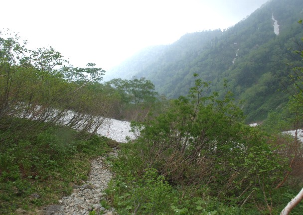雪渓横断