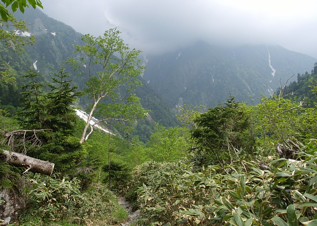 ササ道